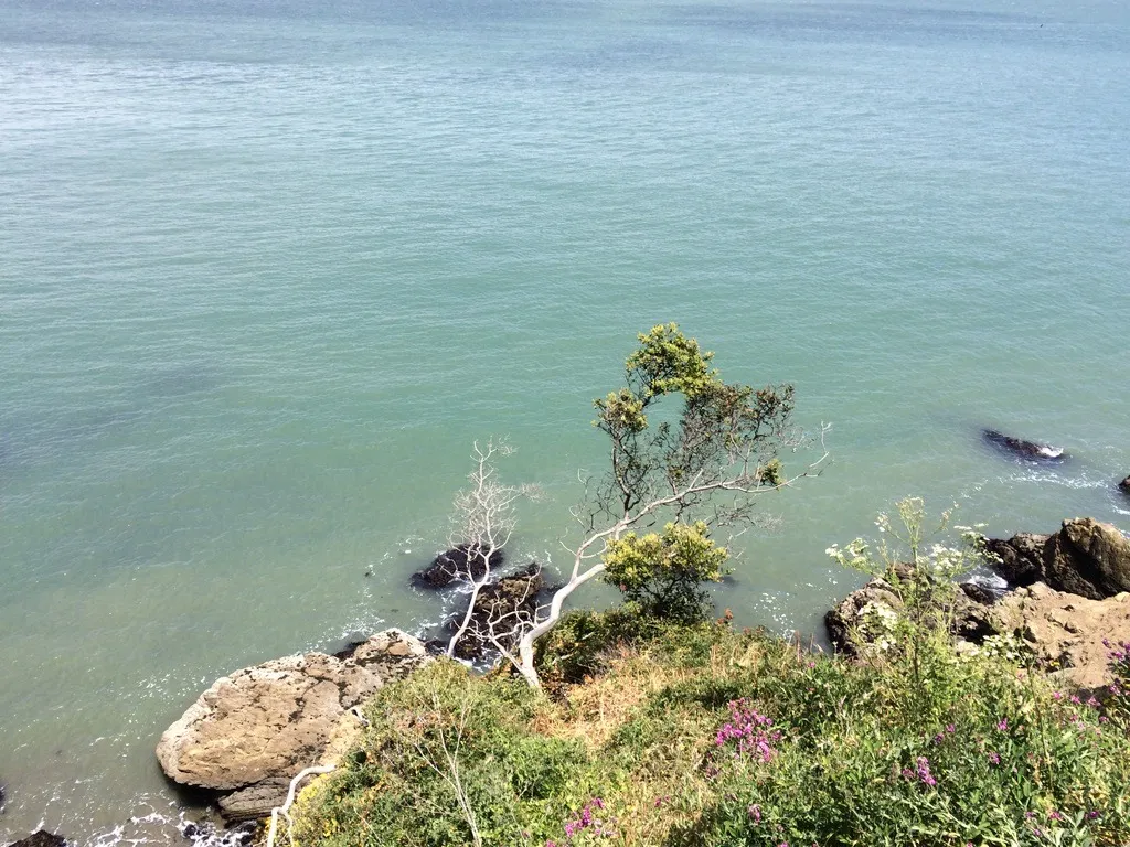 San Francisco, June 6, 2014
