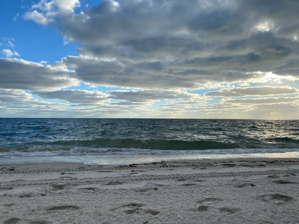 Miami, December 4, 2021