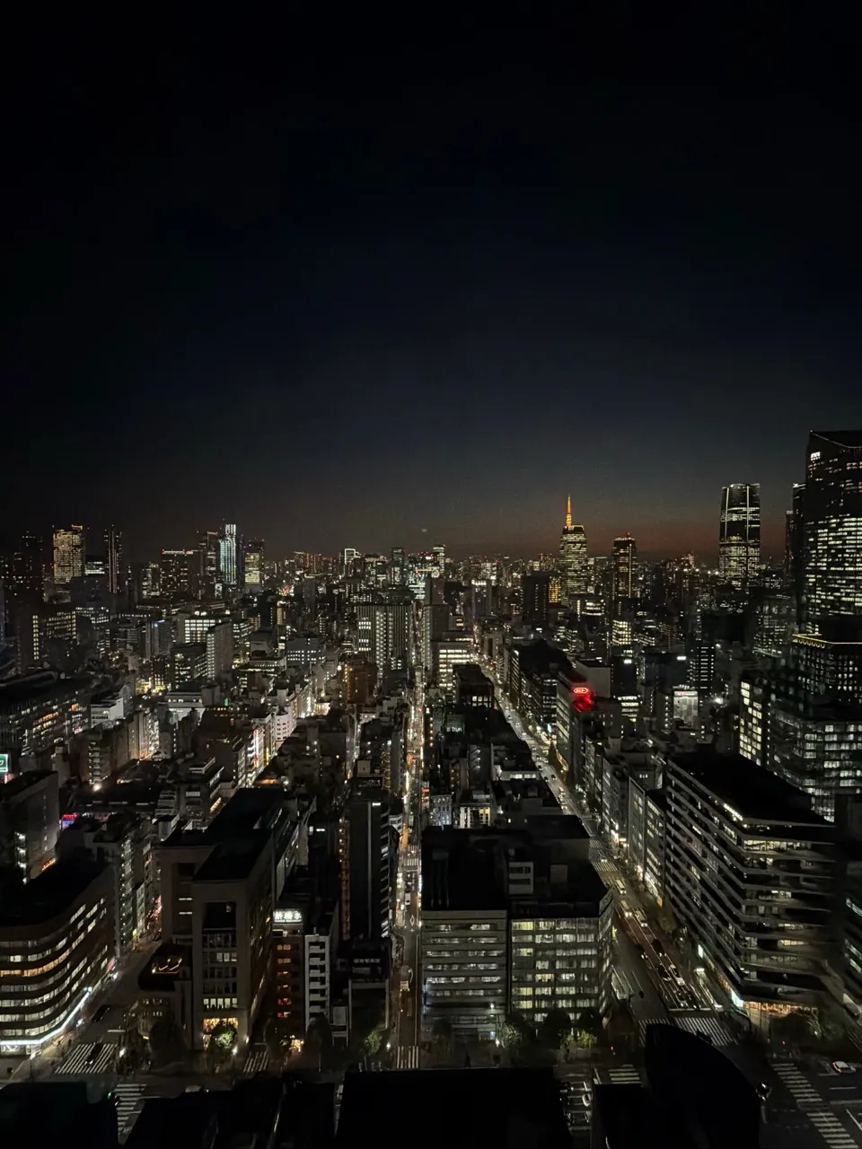 Tokyo skyline at night from high up, with the orange-lit Tokyo Tower in the distance