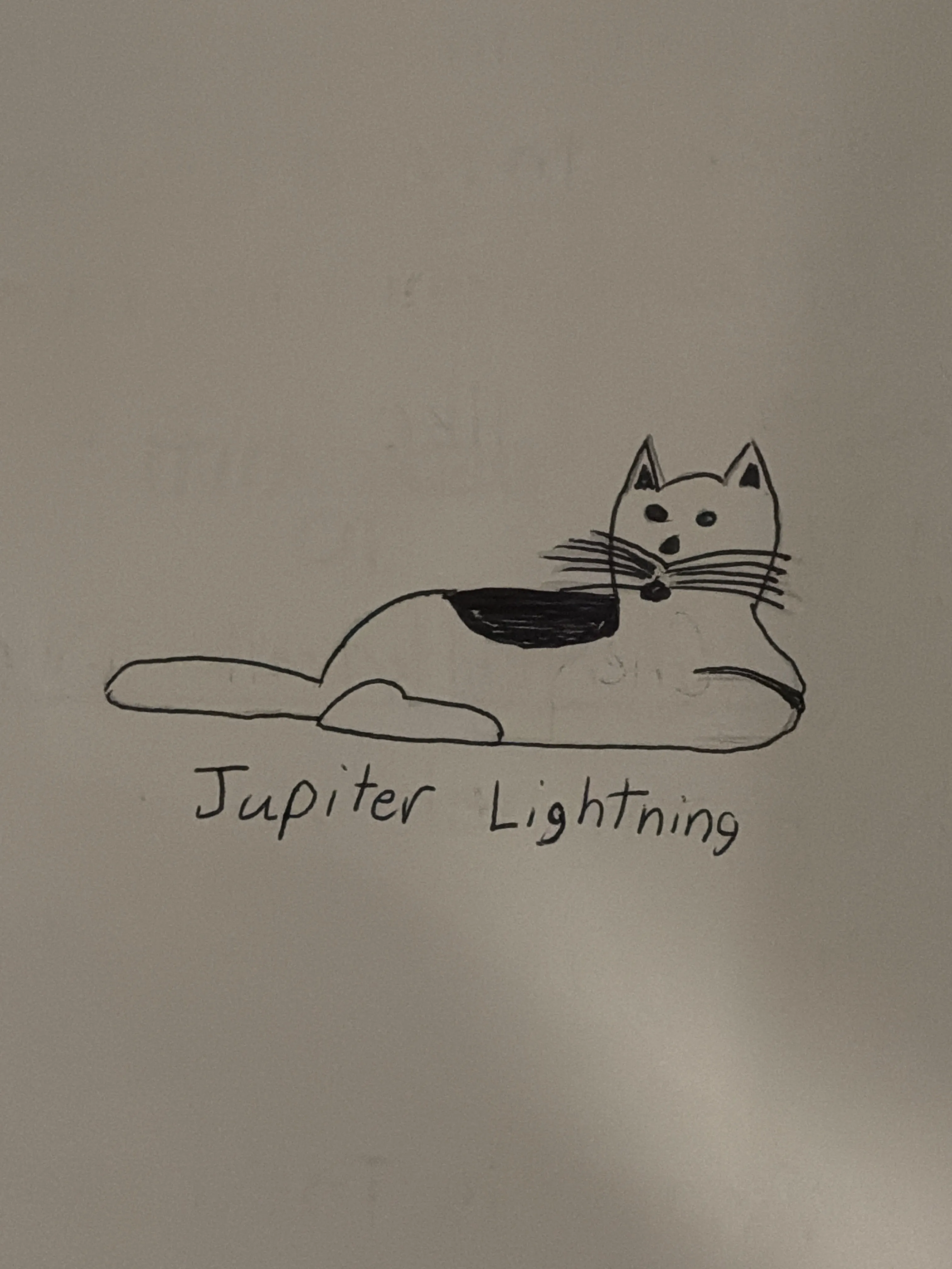 My fifth grade pen drawing of our black and white cat lying down, labeled "Jupiter Lightning"