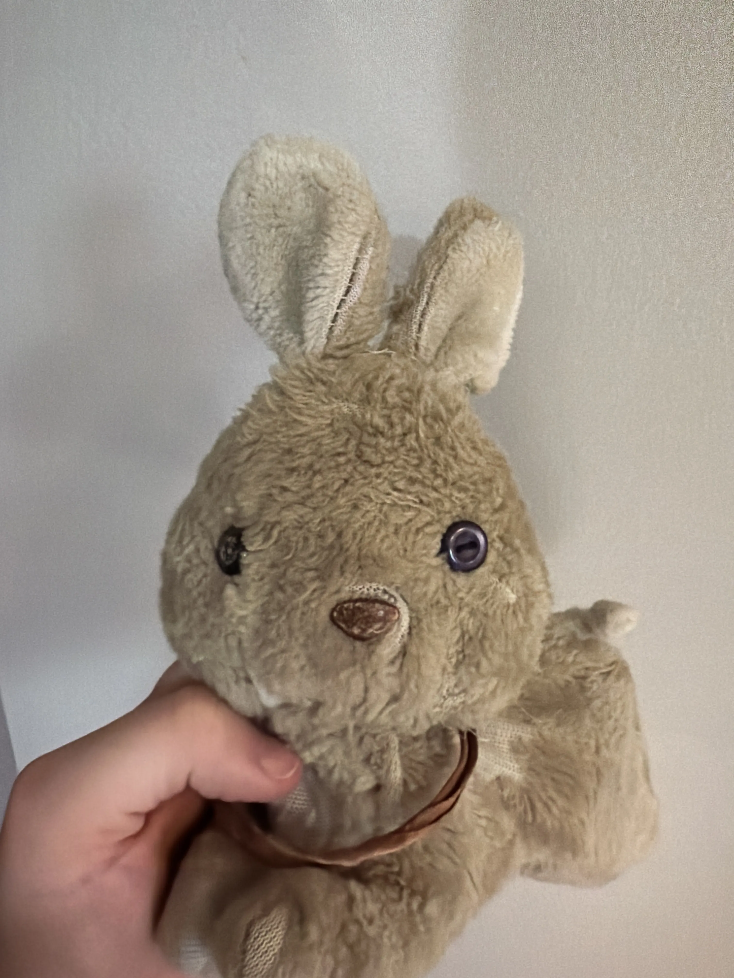 Bun Bun, the well-worn tan stuffed rabbit my grandma gave me, held in my hand. His fur is rubbed away in patches and one eye is a plain button.