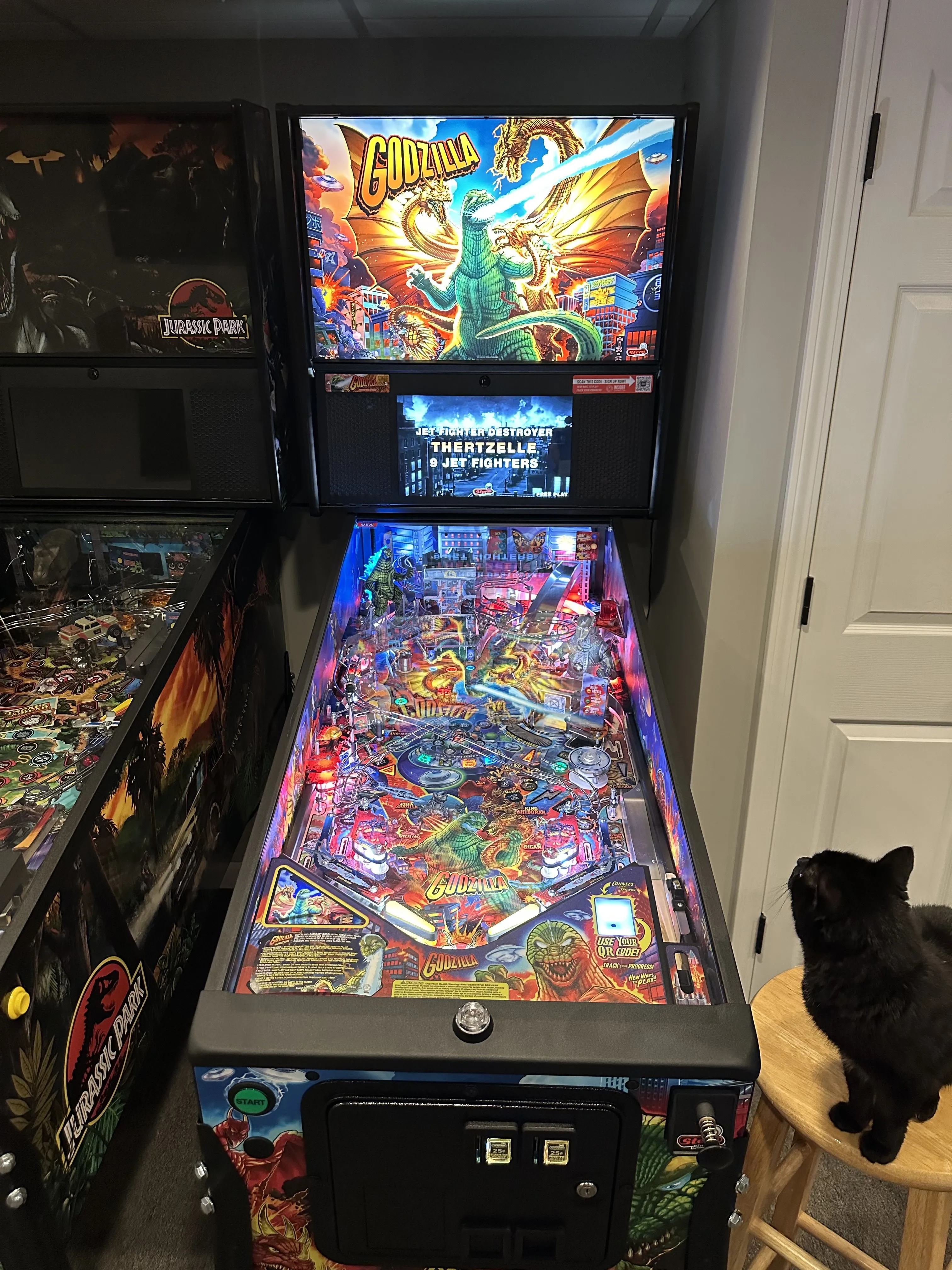 My Godzilla Premium, under the watchful eye of my cat